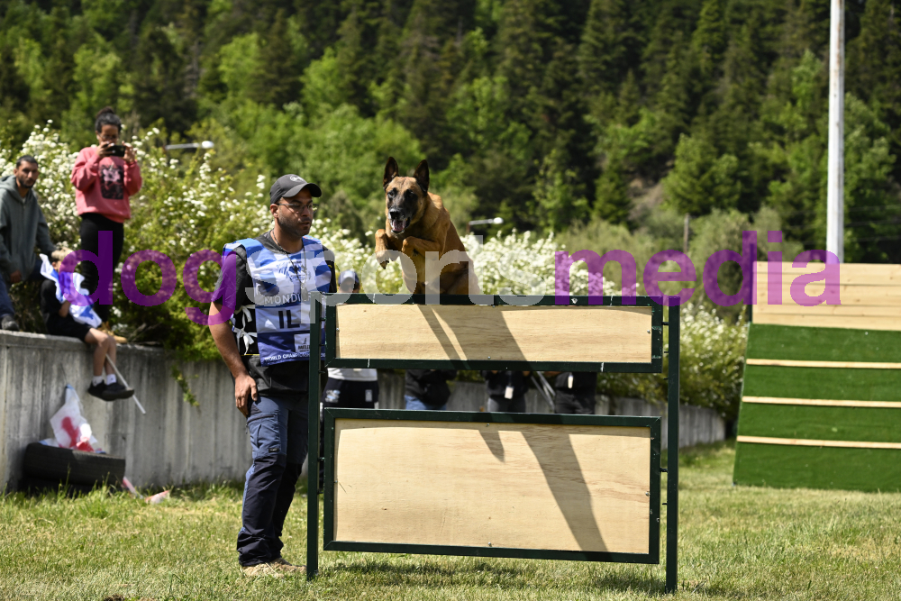 Preview _JRI_18760.jpg